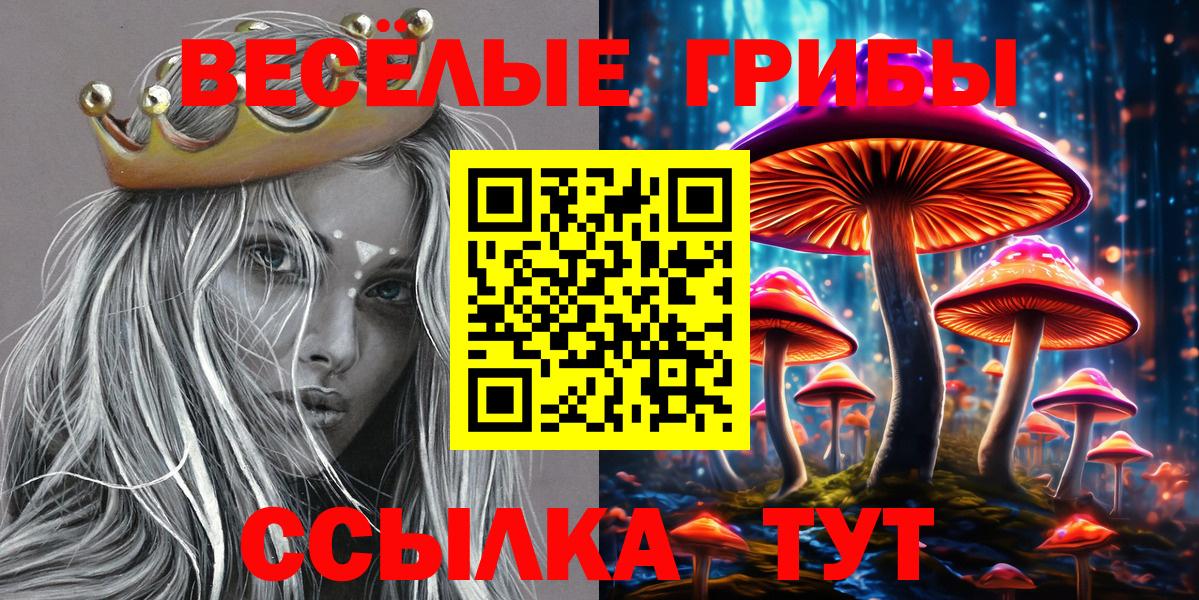 Галлюциногенные грибы GOLDEN TEACHER  Вход с VPN  Славгород 